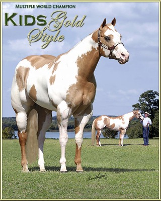 Kids Gold Style - American Paint Horse